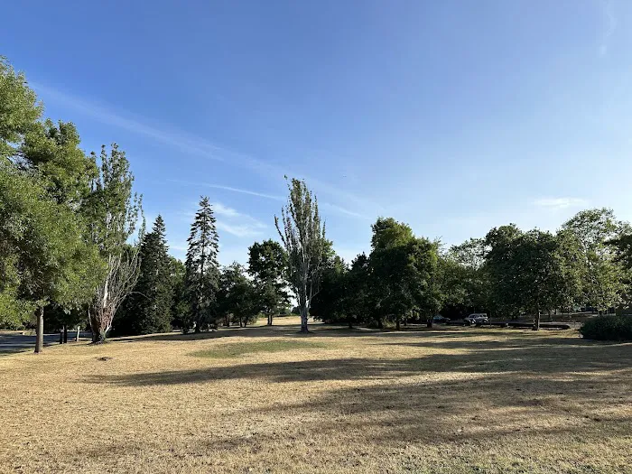 Genesee Dog Park 4