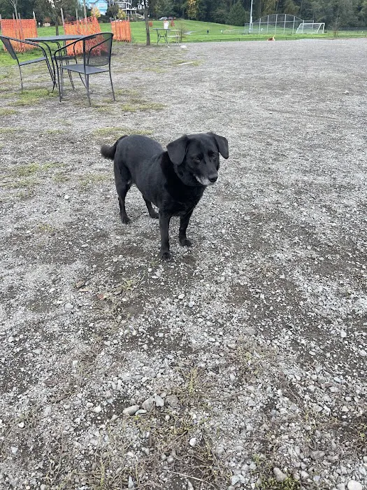 Genesee Dog Park 9