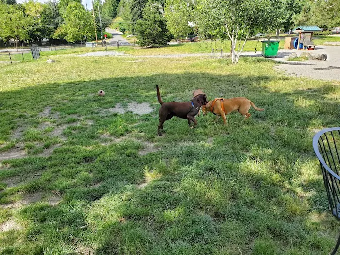 Genesee Dog Park 5
