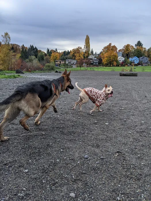 Genesee Dog Park 8
