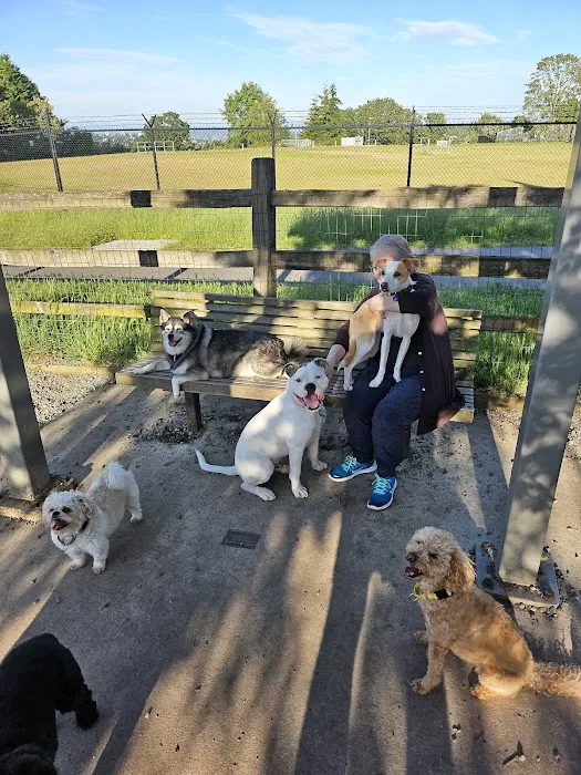 Magnolia Manor Park Off-Leash Area 1