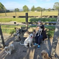 Magnolia Manor Park Off-Leash Area ico