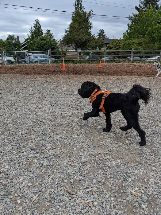 Magnolia Manor Park Off-Leash Area 3