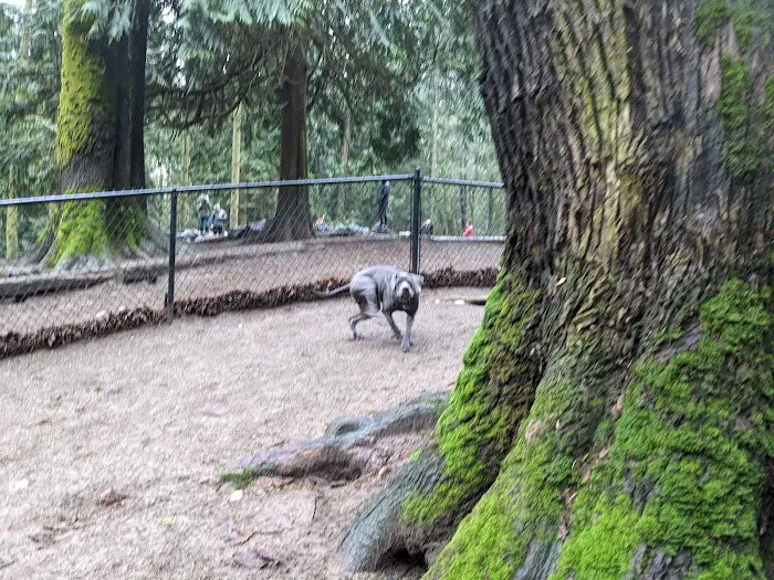 Lower Woodland Dog Park Off Leash Area 2