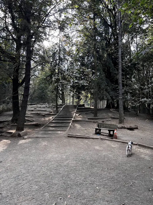 Lower Woodland Dog Park Off Leash Area 1