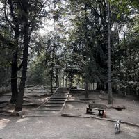Lower Woodland Dog Park Off Leash Area ico