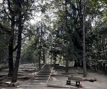 Lower Woodland Dog Park Off Leash Area