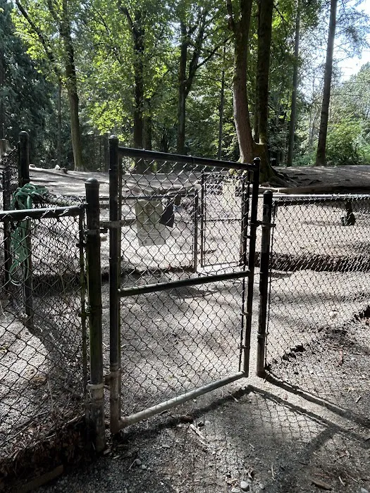 Lower Woodland Dog Park Off Leash Area 10