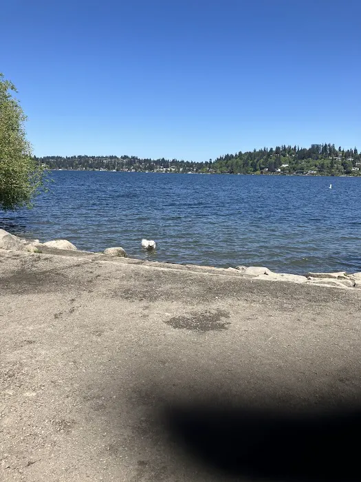 Off-Leash Dog Area 1