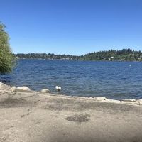 Off-Leash Dog Area ico