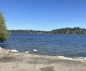 Off-Leash Dog Area