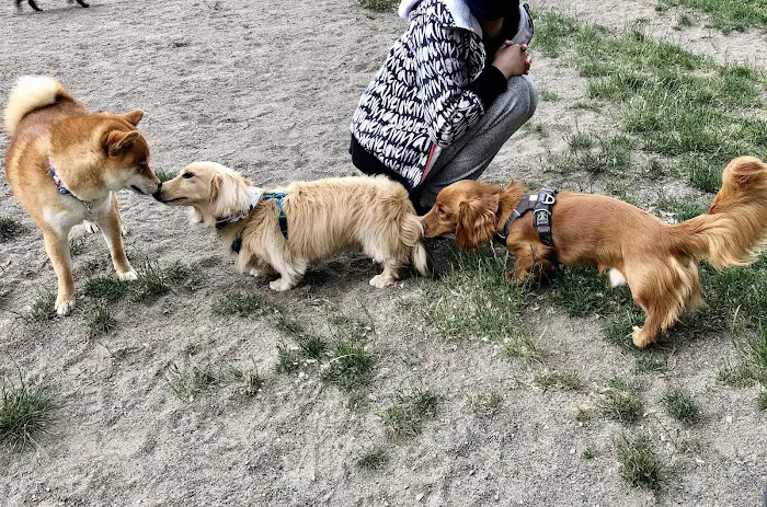 Small Dog Off-Leash Area 1