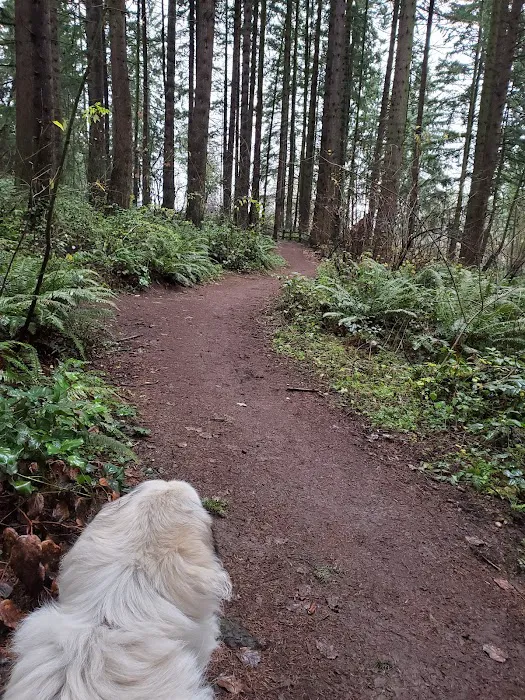 Westcrest Dog Park 4