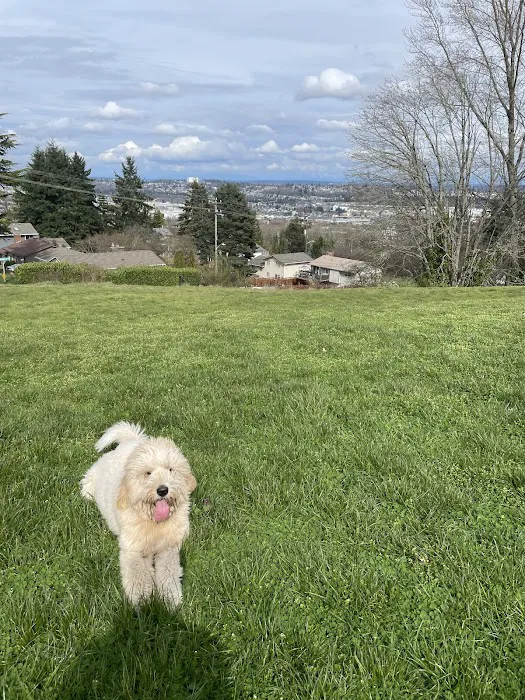 Westcrest Dog Park 7