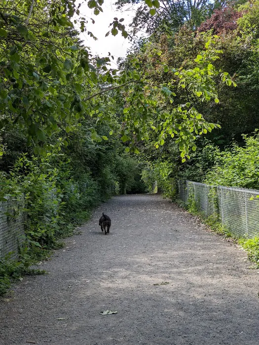 Westcrest Dog Park 8