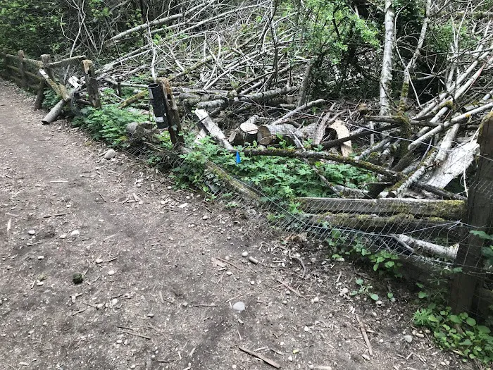 Westcrest Dog Park 10