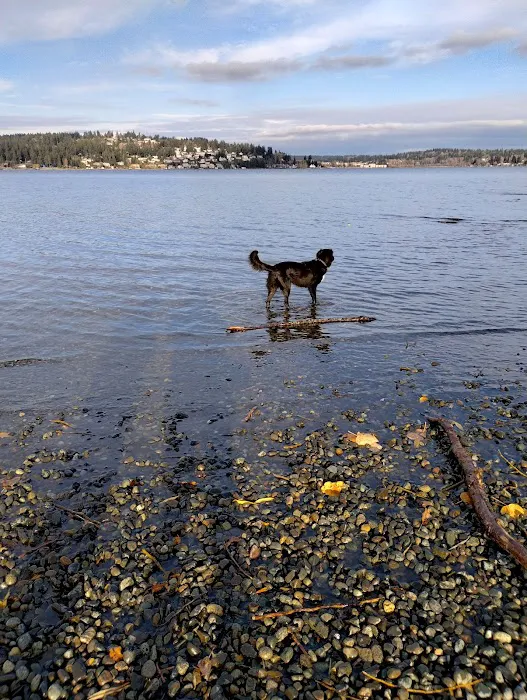 Magnuson Park Off Leash Dog Beach 4