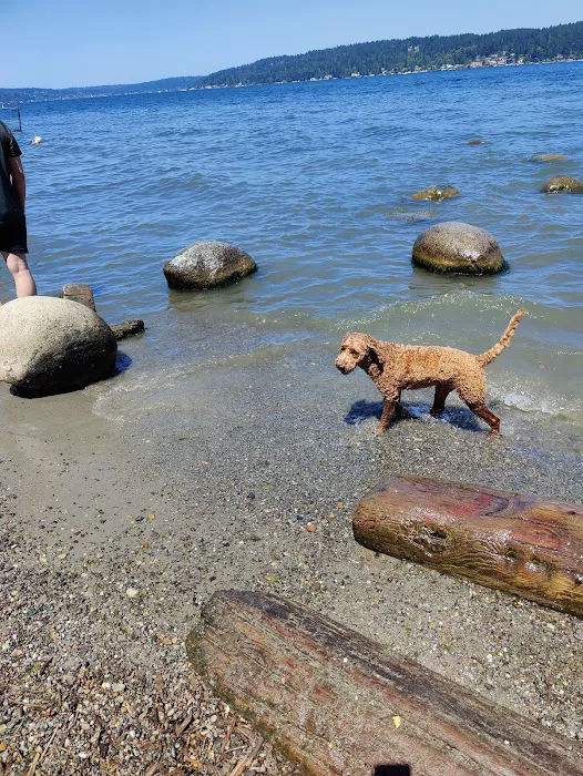 Magnuson Park Off Leash Dog Beach 3
