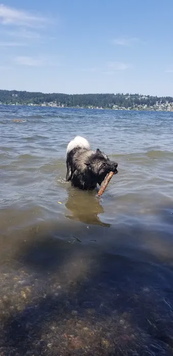 Magnuson Park Off Leash Dog Beach 5