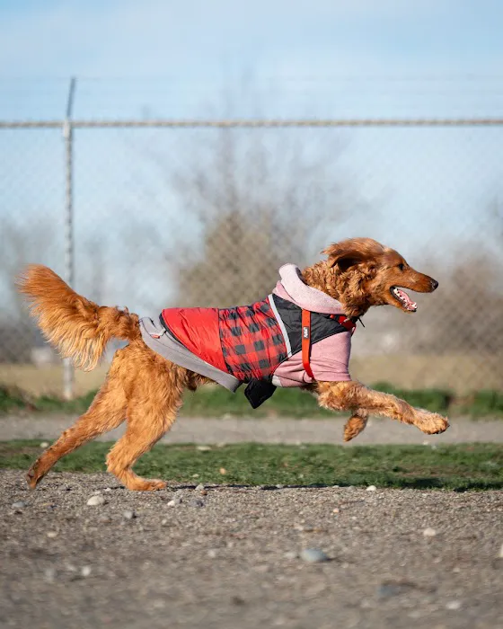 Magnuson Park Off Leash Dog Beach 6