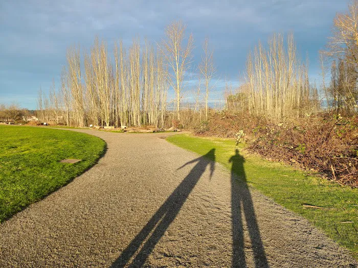 Magnuson Park Off Leash Dog Beach 8