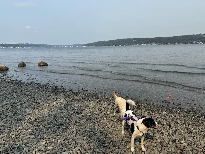 Warren G. Magnuson Park Off Leash Area 5