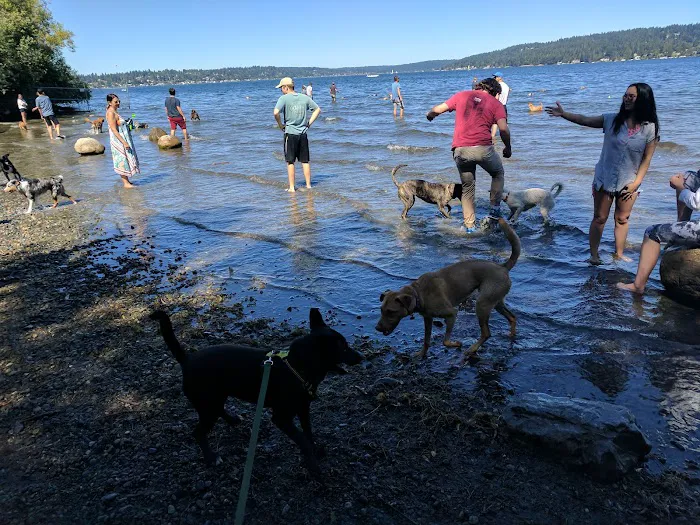 Warren G. Magnuson Park Off Leash Area 3
