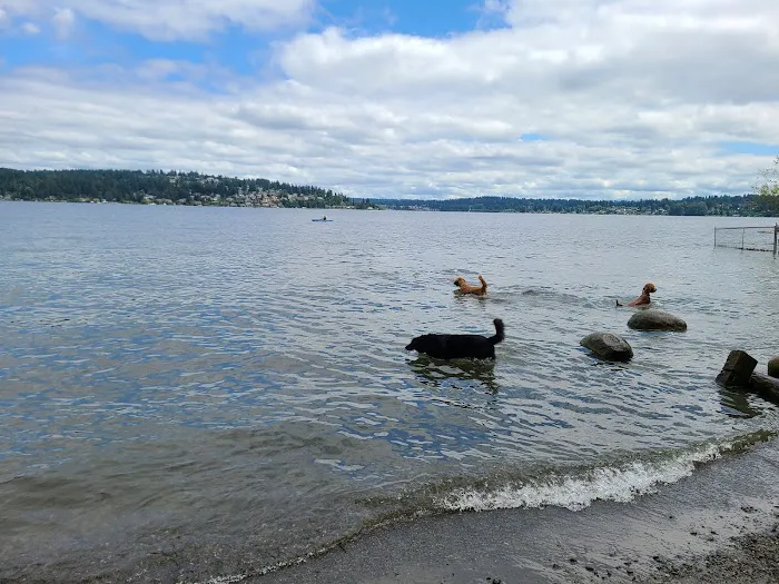 Warren G. Magnuson Park Off Leash Area 4