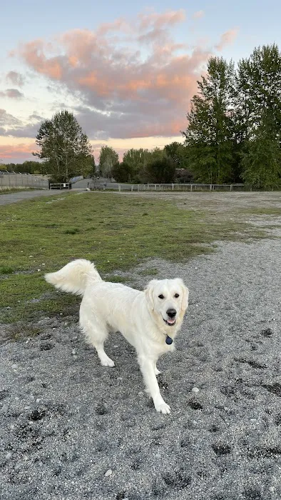 Warren G. Magnuson Park Off Leash Area 1