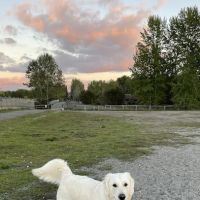 Warren G. Magnuson Park Off Leash Area ico