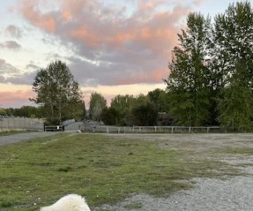 Warren G. Magnuson Park Off Leash Area