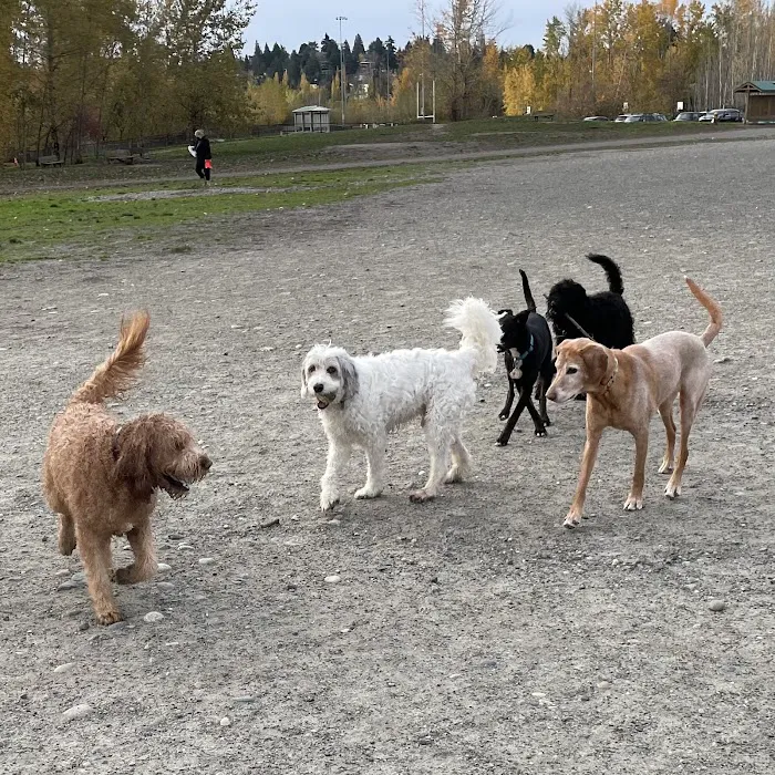 Warren G. Magnuson Park Off Leash Area 7