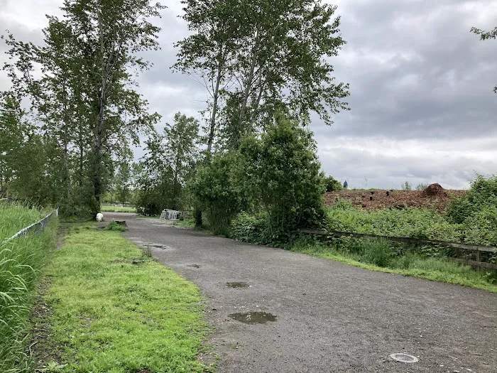 Warren G. Magnuson Park Off Leash Area 6