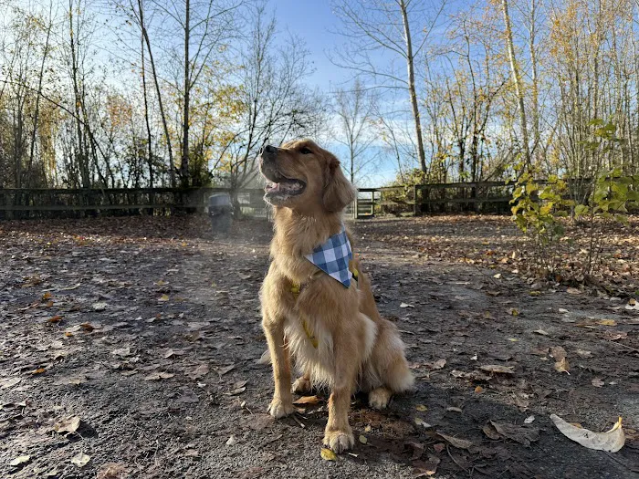 Warren G. Magnuson Park Off Leash Area 8