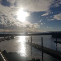 Golden Gardens Off Leash Area ico