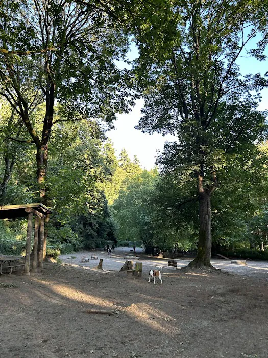 Golden Gardens Off Leash Area 5