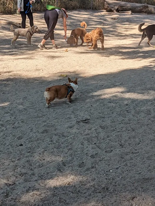 Golden Gardens Off Leash Area 3