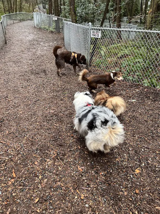 Northacres Off-Leash Dog Area 4
