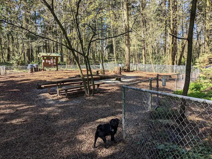 Northacres Off-Leash Dog Area 3