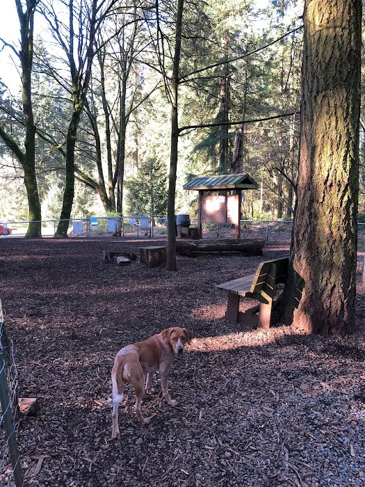 Northacres Off-Leash Dog Area 2