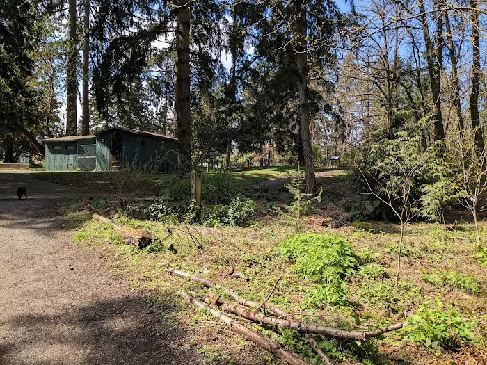 Northacres Off-Leash Dog Area 6