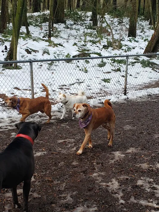 Northacres Off-Leash Dog Area 1