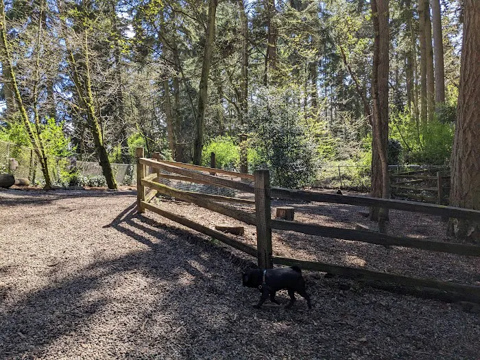 Northacres Off-Leash Dog Area 7