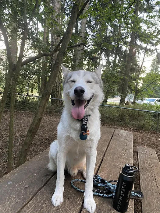 Northacres Off-Leash Dog Area 5