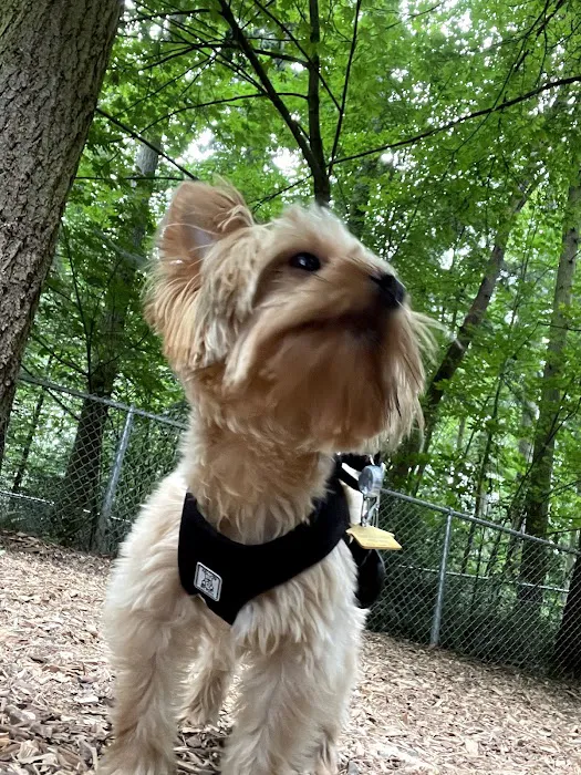 Northacres Off-Leash Dog Area 8
