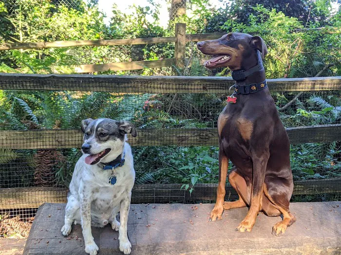 Northacres Off-Leash Dog Area 9