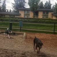 Robinswood Off-Leash Area ico