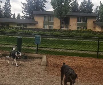Robinswood Off-Leash Area