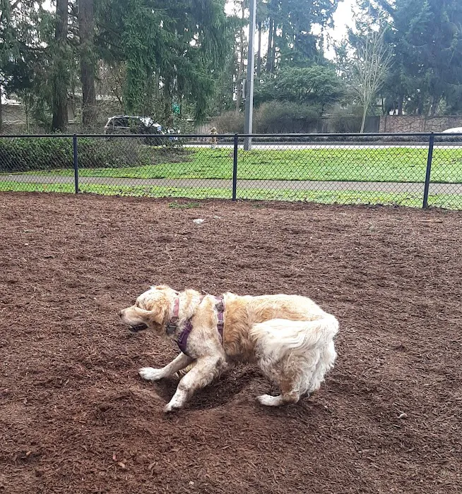 Robinswood Off-Leash Area 3