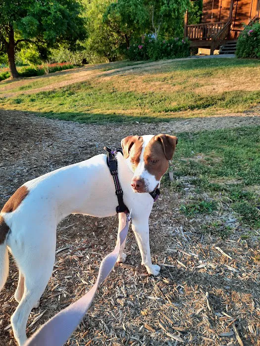 Robinswood Off-Leash Area 6